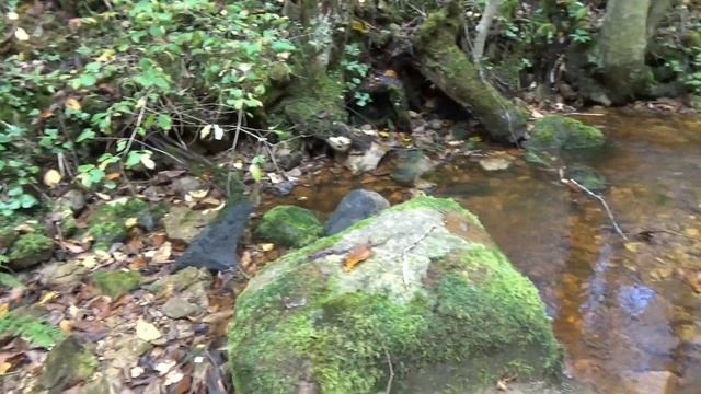 ШИКиТ «Лантан» на реке Рагуше смотреть онлайн