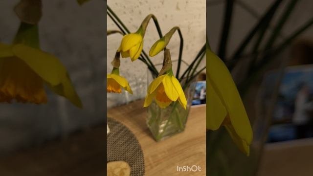 Восьмимартовский эксперимент