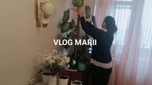 ВЕСЕННЕЕ НАСТРОЕНИЕ!🌞🪻🕊️