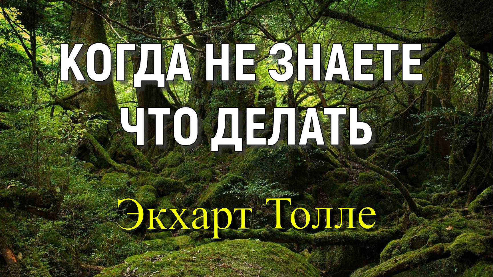 Когда не знаете что делать, как принимать решения. Экхарт Толле, озв. Никошо