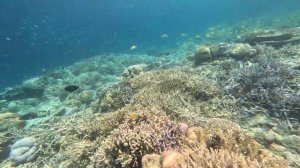 Mataking Reef, Malaysia