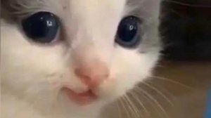 прохожу 4 уровень