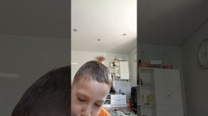 обзор слайма