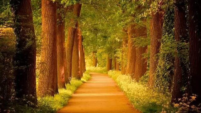 Красивые пейзажи смотреть онлайн