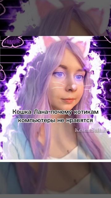 Кошка-лана почему котикам компьютеры не нравятся смотреть онлайн