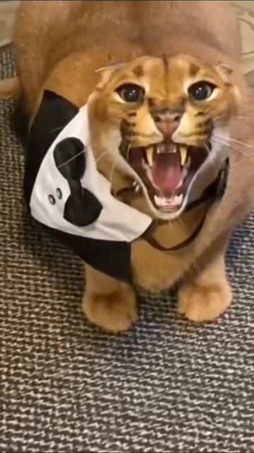 22 oktober 2022 смотреть онлайн