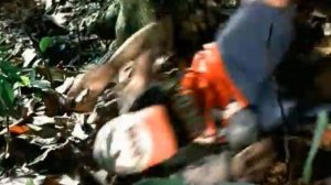 Х\ф - Тайна: Приключения на Амазонке / Ретро Кино (2000)