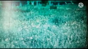 Leninogorsk.ЛЕНИНОГОРСК в середине 70-х годов.