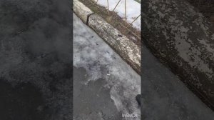 гулянка
