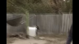 RYPT.Дорогая мы убиваем детей-Коля Гузей