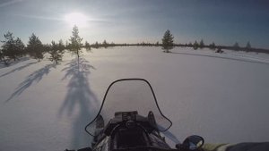 Живописный снегоходный выезд в солнечный день.
Irbis sf200sl и 2 x  Stels Капитан и МТЗ Русич 200