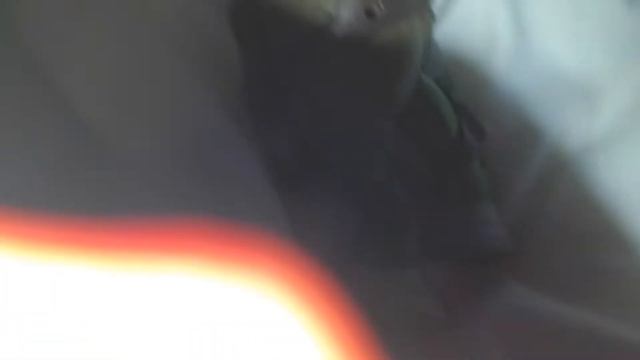 обзор на ниндзю черепашку смотреть онлайн