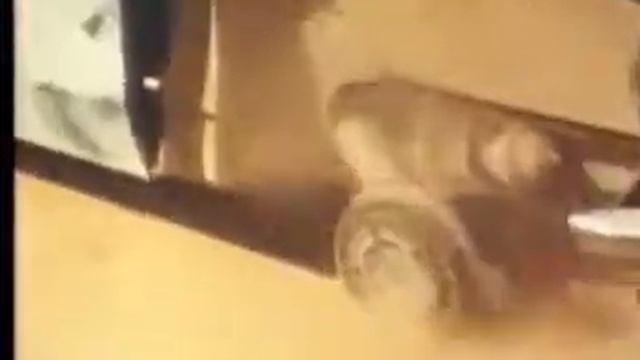 Citroen DS Rally 10 смотреть онлайн