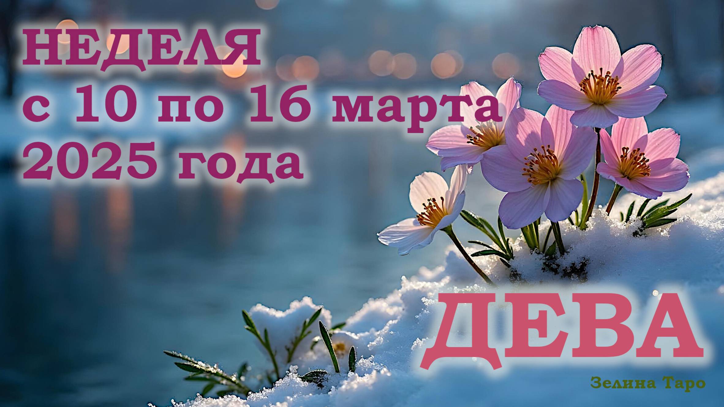 ДЕВА | ТАРО прогноз на неделю с 10 по 16 марта 2025 года
