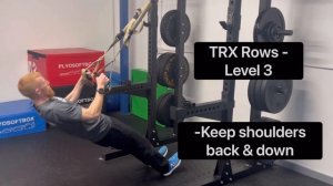 TRX Rows