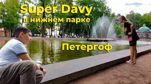 Super Davy в Нижнем парке, Петергофа