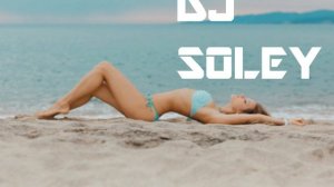 BEST ELECTRO HOUSE 2013 MASH UP/// SUMMER CLUB DANCE MUSIC (DJ SOLEY)