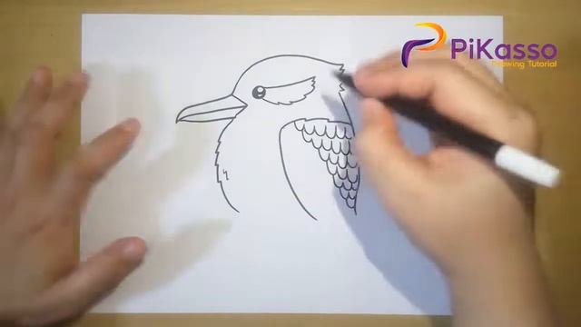 Kookaburra Easy Drawing Tutorial смотреть онлайн