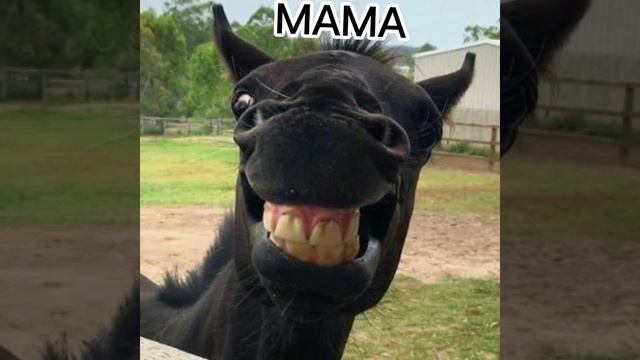 мама купи мне лошадь/🤣🤣🤣/лошадь/конь смотреть онлайн