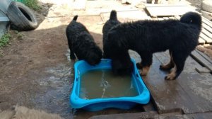 video_20190509_134232