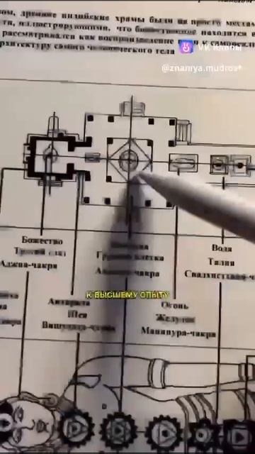 Человек - образ и Подобие Бога и Храма Жизни. от Ольги Грузденко. МНШУ