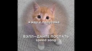 Вэлл—дайте поспать|| speed song+текст