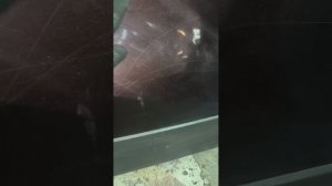 34925 Дверь задняя правая Opel Mokka