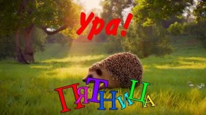 УРА, пятница