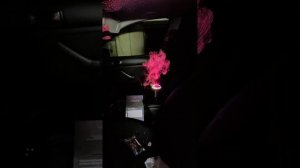 Аромик со звездным небом Grommie