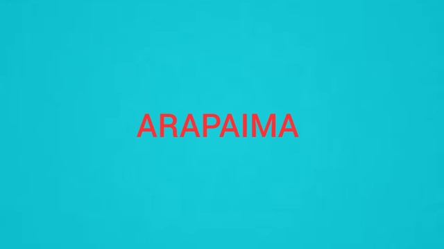 BEST TANK MATES OF ALIGATOR GAR смотреть онлайн