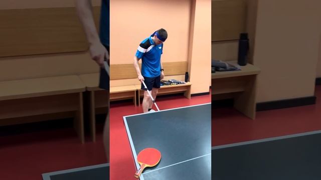 Перші враження від нової ракетки Fan Zhendong Super ZLC з накладками Dignics 09C та Dignics 05