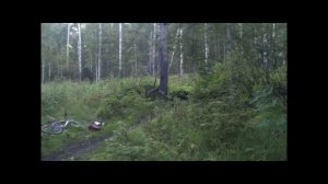 Rider Mikola