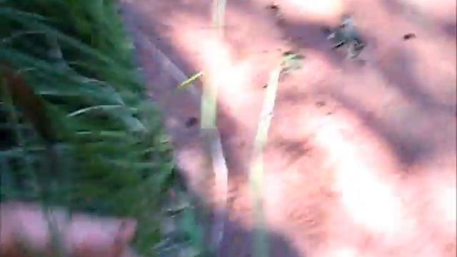 8 reptiles species, all 6 native UK retiles plus 2 introduced species. смотреть онлайн