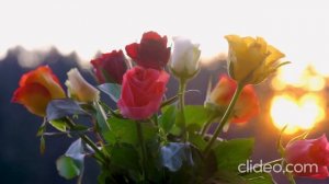 Сердце матери (ст. Дмитрия Кедрина)