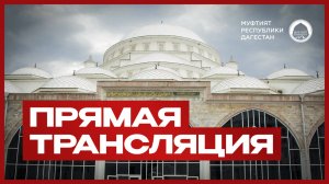 ПРЯМАЯ ТРАНСЛЯЦИЯ