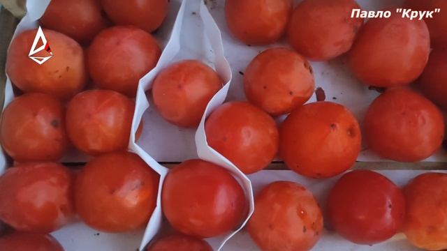 Хурма і її цілющі властивості. Здорове харчування. Здорова їжа.  Цілитель Павло Крук