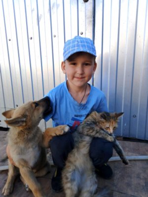 машинами штаны