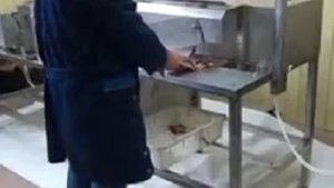 Рыборазделочная машина РМ-350