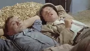 Приключения Шурика. Работа не волк, в лес...  Нет, это не надо