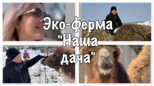 СЛУЧАЙНО ПОПАЛИ НА МАСЛЕНИЦУ