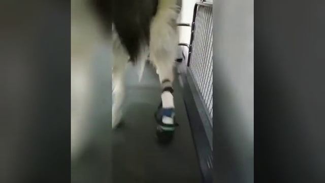 13 июля 2021 г. смотреть онлайн