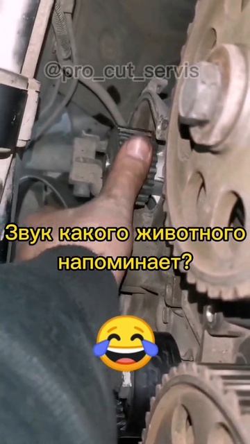 ШУМ ПОМПЫ НА GRANTA FL. ШУМИТ НОВАЯ ПОМПА. на что похож звук? #shorts смотреть онлайн