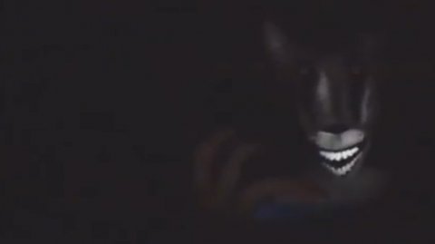 Аналоговый хоррор "Красная шапочка" |Edit| Волк все ещё ЖИВОЙ!