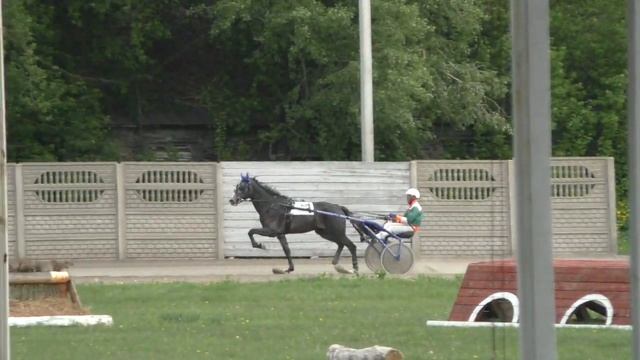 Квалификационный заезд 2-х лет, 1600 м 01.06.2019. Абаканский ипподром смотреть онлайн