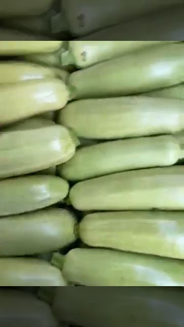 Кабачки оптом смотреть онлайн