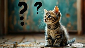 Сказки Христофоровны. Вопросы к сказке В.Г. Сутеева «Кто сказал мяу?».