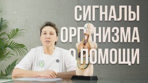 СИГНАЛЫ ОРГАНИЗМА О ПОМОЩИ!