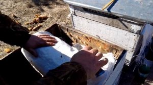 Проблемные