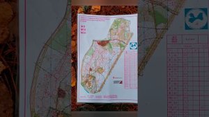 Первенство ленинградской области по спортивному ориентированию 23.10.2022