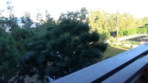 Nirvana Cosmopolitan 5* часть 2